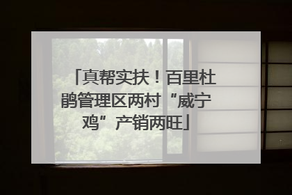 真帮实扶！百里杜鹃管理区两村“威宁鸡”产销两旺