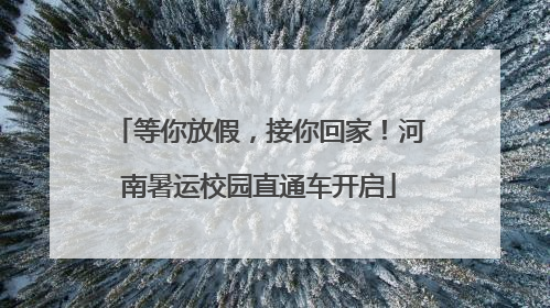 等你放假，接你回家！河南暑运校园直通车开启
