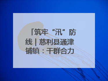 筑牢“汛”防线｜慈利县通津铺镇：干群合力抗击洪灾