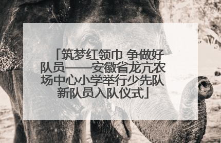 筑梦红领巾 争做好队员——安徽省龙亢农场中心小学举行少先队新队员入队仪式