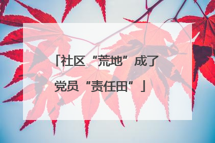 社区“荒地”成了党员“责任田”