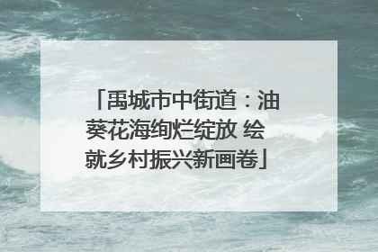 禹城市中街道：油葵花海绚烂绽放 绘就乡村振兴新画卷