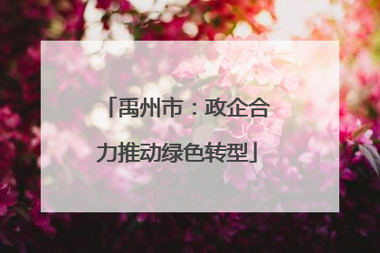禹州市：政企合力推动绿色转型