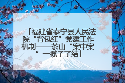福建省泰宁县人民法院“背包红”党建工作机制——茶山“案中案”一揽子了结
