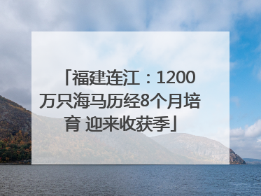 福建连江：1200万只海马历经8个月培育 迎来收获季