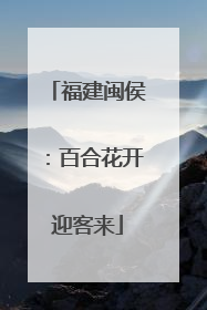 福建闽侯：百合花开迎客来