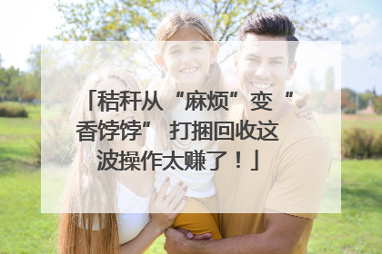 秸秆从“麻烦”变“香饽饽” 打捆回收这波操作太赚了！