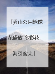 秀山公园绣球花盛放 多彩花海引客来