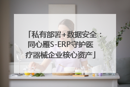 私有部署+数据安全：同心雁S-ERP守护医疗器械企业核心资产