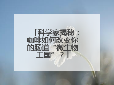 科学家揭秘：咖啡如何改变你的肠道“微生物王国”？