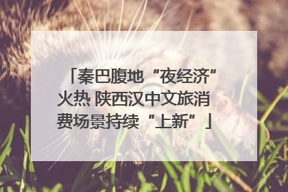 秦巴腹地“夜经济”火热 陕西汉中文旅消费场景持续“上新”