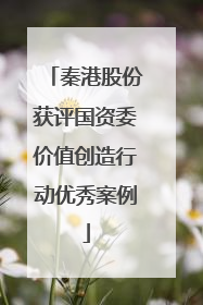 秦港股份获评国资委价值创造行动优秀案例
