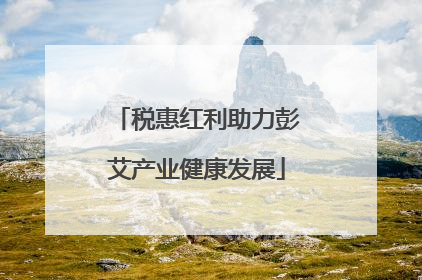税惠红利助力彭艾产业健康发展