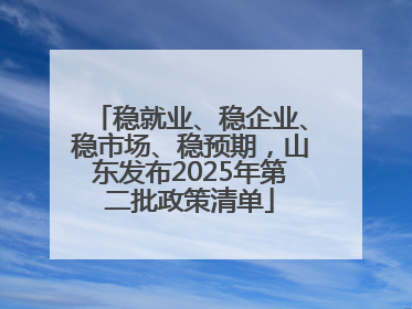 稳就业、稳企业、稳市场、稳预期，山东发布2025年第二批政策清单