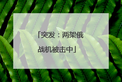 突发：两架俄战机被击中