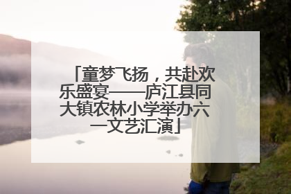 童梦飞扬，共赴欢乐盛宴——庐江县同大镇农林小学举办六一文艺汇演