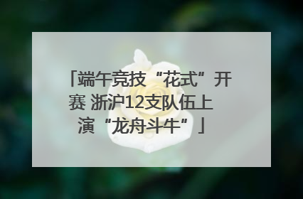 端午竞技“花式”开赛 浙沪12支队伍上演“龙舟斗牛”