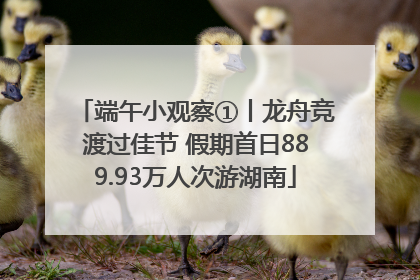 端午小观察①丨龙舟竞渡过佳节 假期首日889.93万人次游湖南