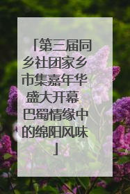 第三届同乡社团家乡市集嘉年华盛大开幕 巴蜀情缘中的绵阳风味