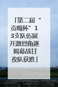 第二届“贡嘎杯”13支队伍展开激烈角逐 揭幕战甘孜队获胜