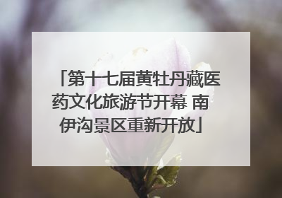第十七届黄牡丹藏医药文化旅游节开幕 南伊沟景区重新开放