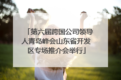 第六届跨国公司领导人青岛峰会山东省开发区专场推介会举行