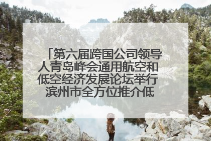 第六届跨国公司领导人青岛峰会通用航空和低空经济发展论坛举行 滨州市全方位推介低空经济发展优势