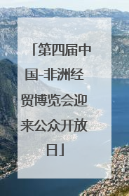 第四届中国-非洲经贸博览会迎来公众开放日