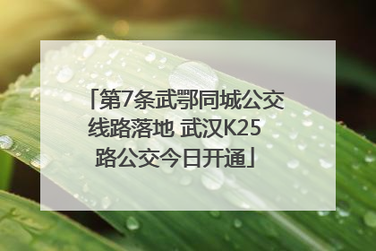 第7条武鄂同城公交线路落地 武汉K25路公交今日开通