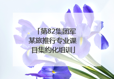 第82集团军某旅推行专业课目集约化组训