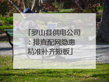 罗山县供电公司：排查配网隐患 精准补齐短板
