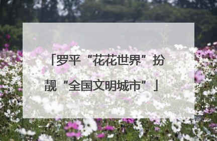罗平“花花世界”扮靓“全国文明城市”