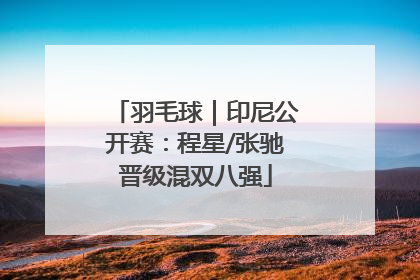 羽毛球｜印尼公开赛：程星/张驰晋级混双八强