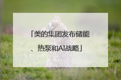 美的集团发布储能、热泵和AI战略