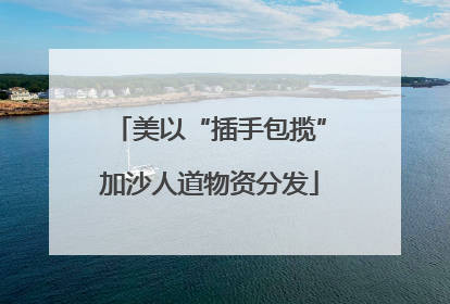 美以“插手包揽”加沙人道物资分发