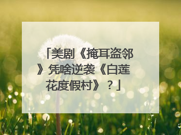 美剧《掩耳盗邻》凭啥逆袭《白莲花度假村》？