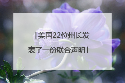 美国22位州长发表了一份联合声明