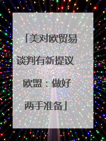 美对欧贸易谈判有新提议 欧盟：做好两手准备