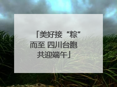美好接“粽”而至 四川台胞共迎端午