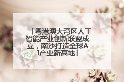 粤港澳大湾区人工智能产业创新联盟成立，南沙打造全球AI产业新高地