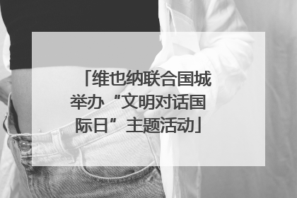 维也纳联合国城举办“文明对话国际日”主题活动