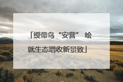 绶带鸟“安营” 绘就生态增收新景致