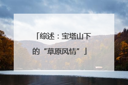 综述：宝塔山下的“草原风情”