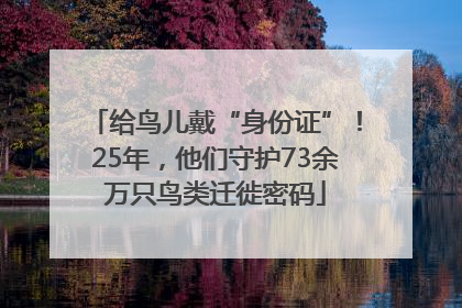 给鸟儿戴“身份证”！25年，他们守护73余万只鸟类迁徙密码