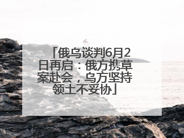 俄乌谈判6月2日再启：俄方携草案赴会，乌方坚持领土不妥协