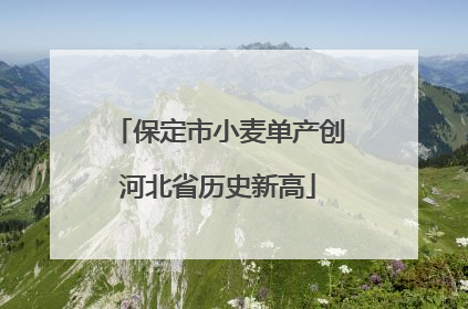 保定市小麦单产创河北省历史新高