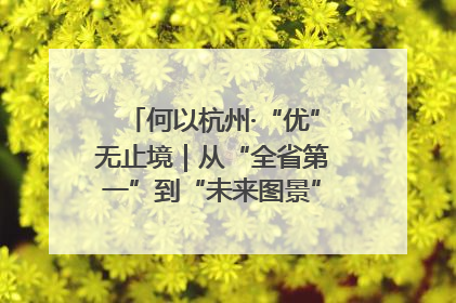何以杭州·“优”无止境｜从“全省第一”到“未来图景” 余杭加速航行