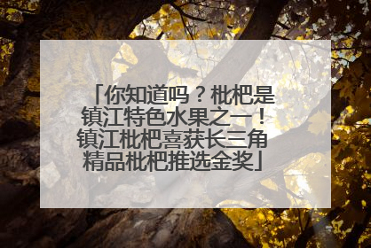 你知道吗?枇杷是镇江特色水果之一!镇江枇杷喜获长三角精品枇杷推选金奖