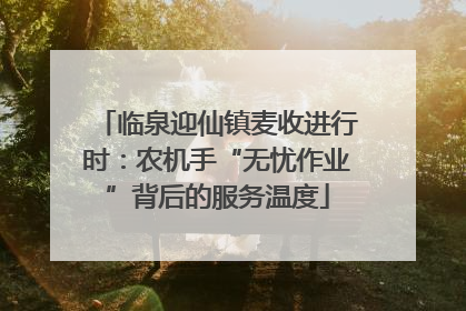 临泉迎仙镇麦收进行时：农机手“无忧作业”背后的服务温度