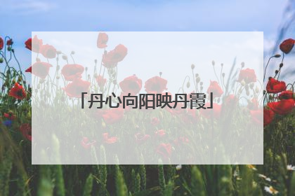 丹心向阳映丹霞